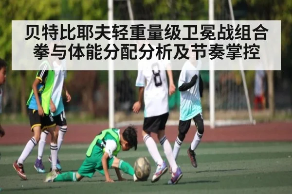 贝特比耶夫轻重量级卫冕战组合拳与体能分配分析及节奏掌控